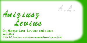 aniziusz levius business card